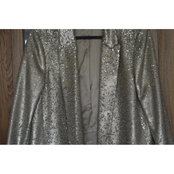 Massimo Dutti Silver Sequin Blazer - Picture 9 of 9